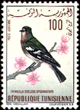 Stamp N°800