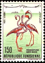 Stamp N°815