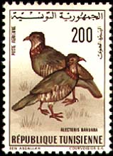 Stamp N°816