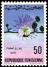 Stamp N°859