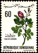 Stamp N°860