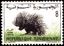 Stamp N°867