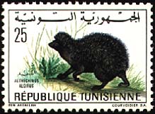 Stamp N°872