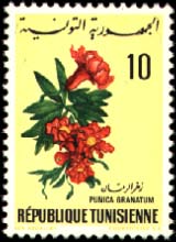 Stamp N°876