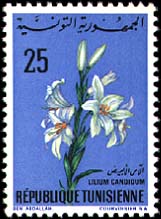 Stamp N°879