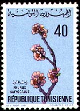 Stamp N°880