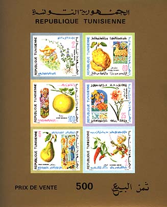 Non-perforated Block