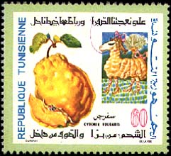 Stamp N°924