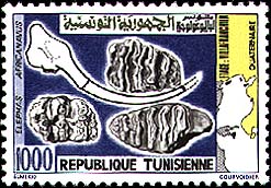 Stamp N°1191