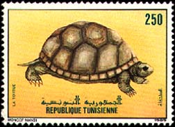 t1353.jpg