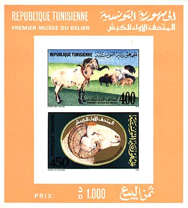 Non-perforated Block