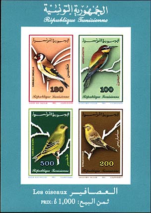 Non-perforated Block