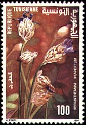 Stamp N°1447