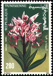 Stamp N°1448