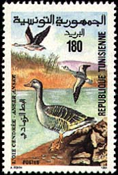 Stamp N°1463