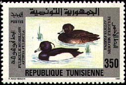 Stamp N°1464
