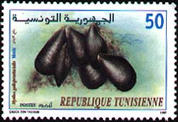 Stamp N°1516