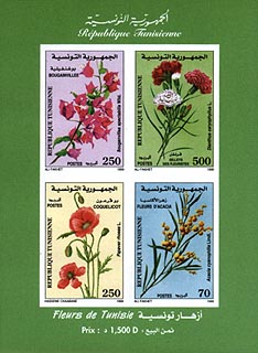 Non-perforated Block