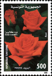 Stamp N°1619