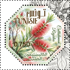 Timbre Nष