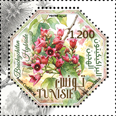 Timbre Nस
